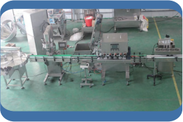 High Level Auto Auger Filler1 (15)